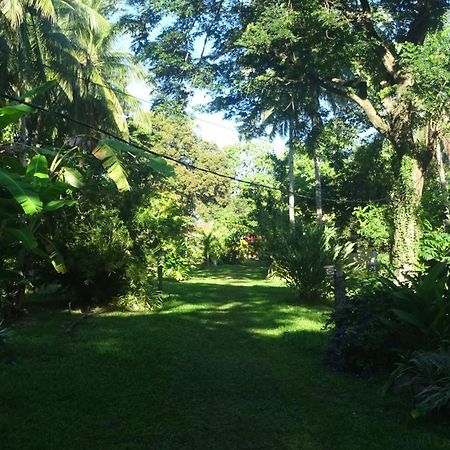 Acacia'S Cottages With Starlink Wifi Mambajao Luaran gambar