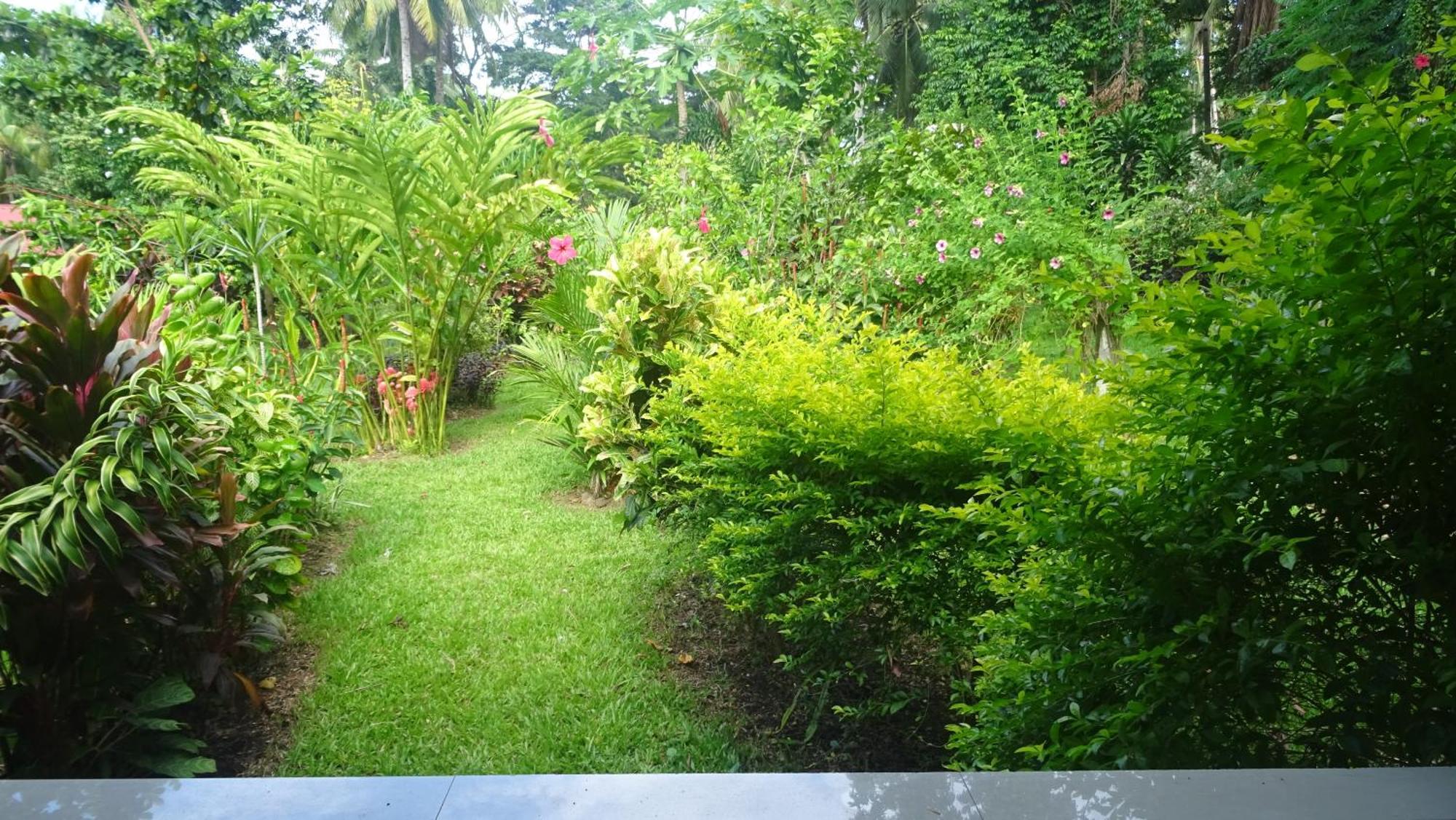 Acacia'S Cottages With Starlink Wifi Mambajao Luaran gambar