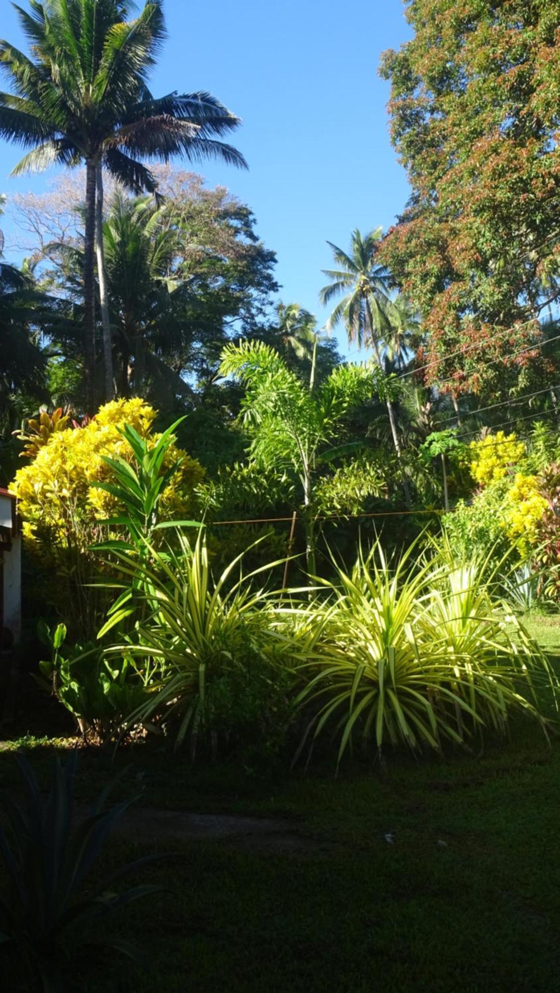Acacia'S Cottages With Starlink Wifi Mambajao Luaran gambar