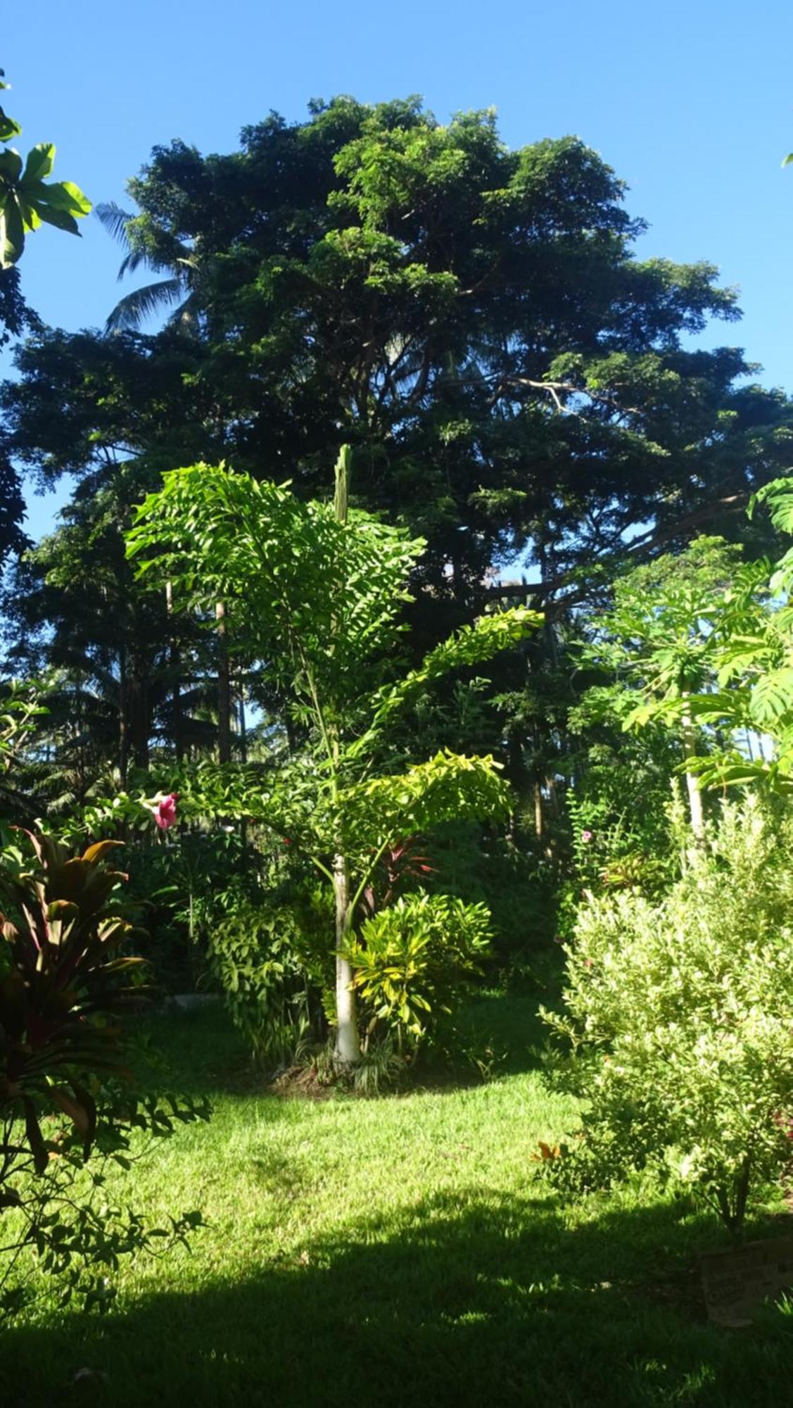 Acacia'S Cottages With Starlink Wifi Mambajao Luaran gambar