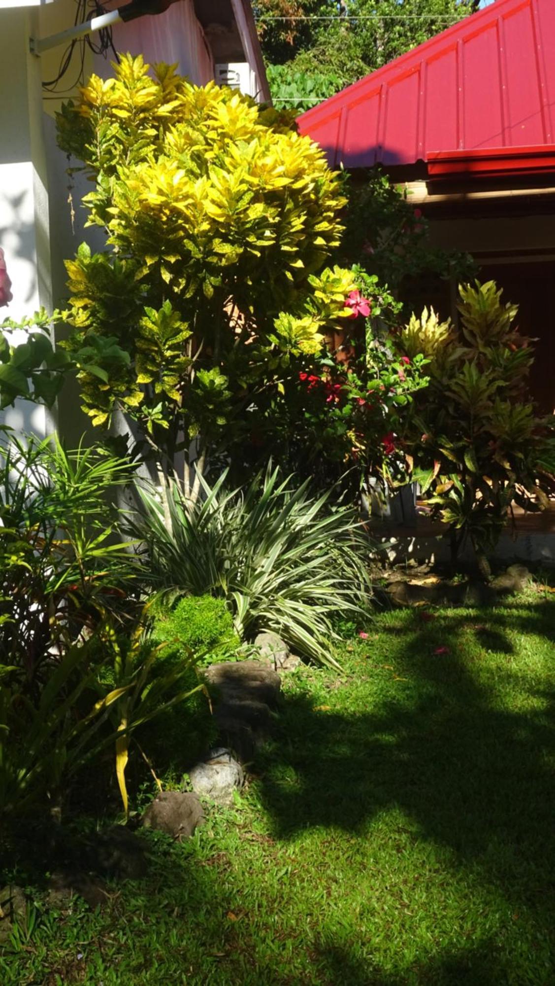 Acacia'S Cottages With Starlink Wifi Mambajao Luaran gambar
