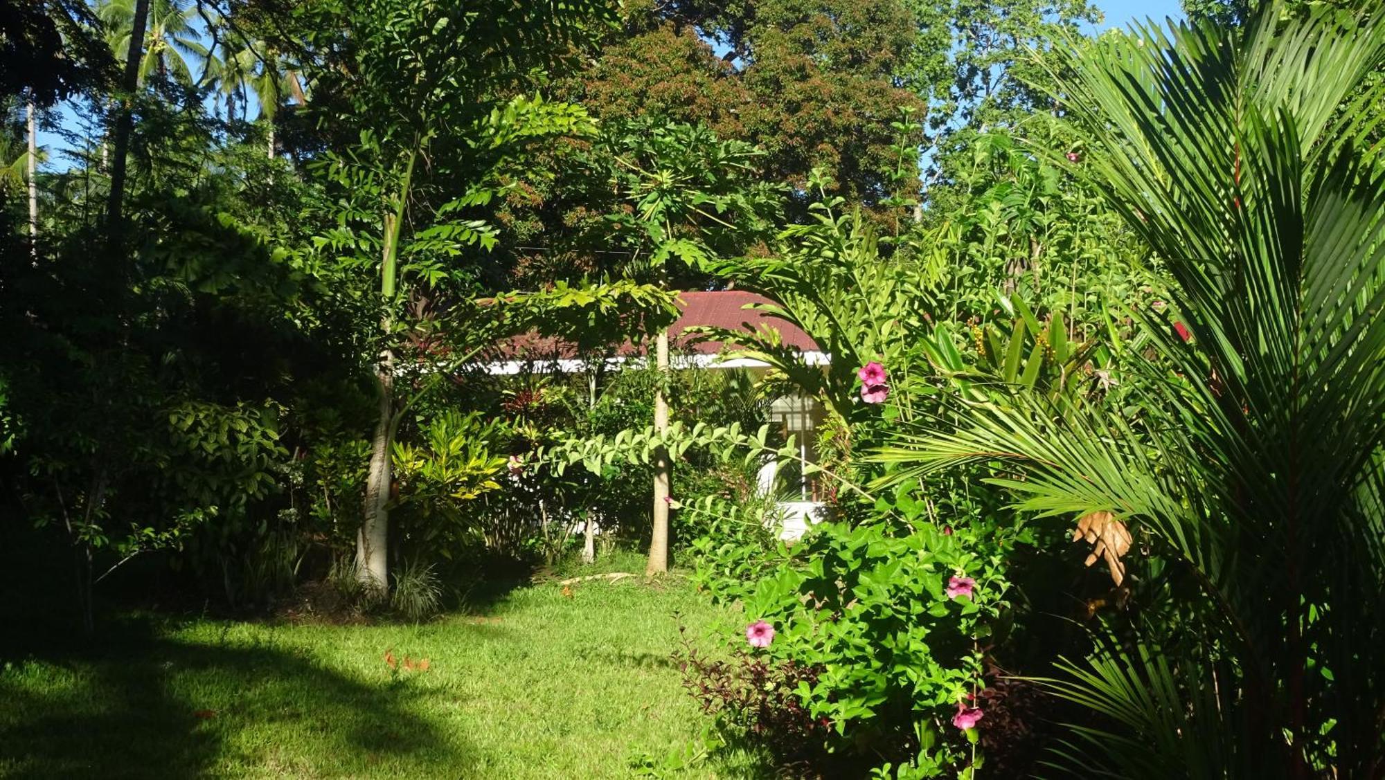 Acacia'S Cottages With Starlink Wifi Mambajao Luaran gambar